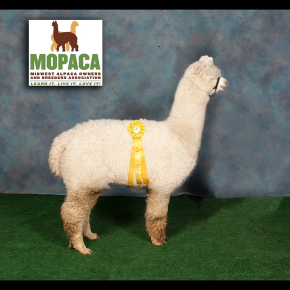 Meet your Posher, Michele - Picture 7 of 8